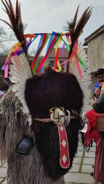 ED JEŽEVKA PTUJ - PUST 2023 (53)